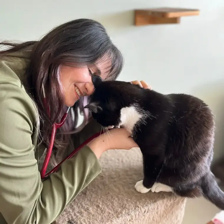 A Dra. Fernanda encostando a testa na cabeça de um gato preto e branco, que se aproxima dela por vontade própria em cima de um arranhador